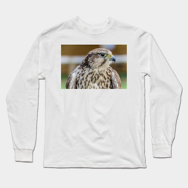 Bird of prey - Kestrel Long Sleeve T-Shirt by millroadgirl